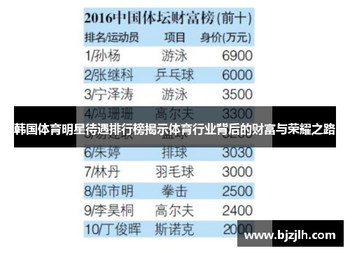 韩国体育明星待遇排行榜揭示体育行业背后的财富与荣耀之路